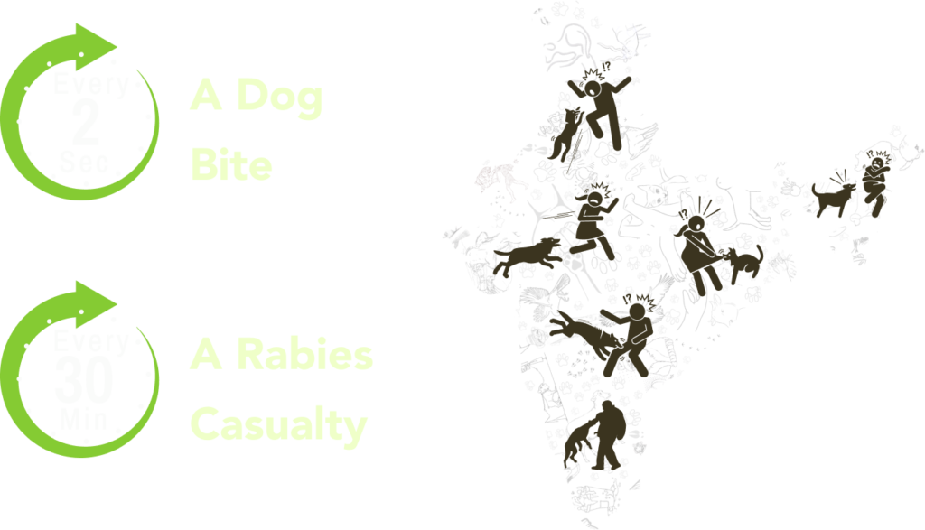 India Dog Impact - Thinkpaws.org