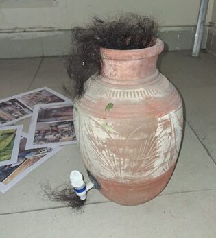 Nature of Hair and Other Tangled Matters - Thinkpaws