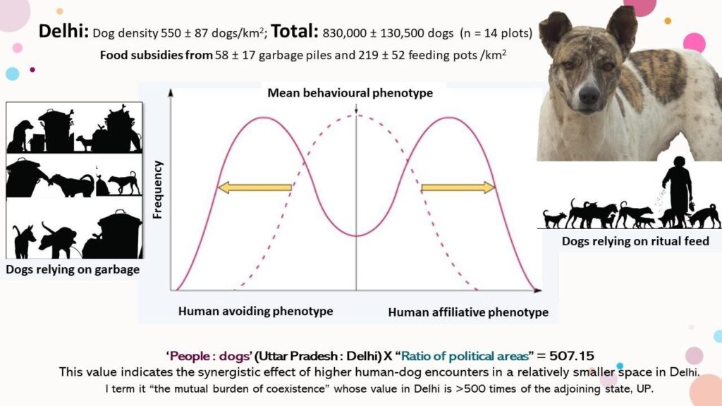 Unveiling Delhi’s Street Dog Density - Thinkpaws